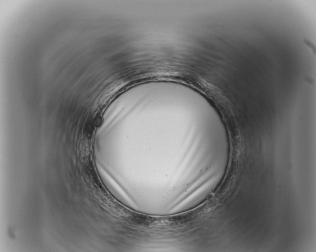 X0000100221169200806201501