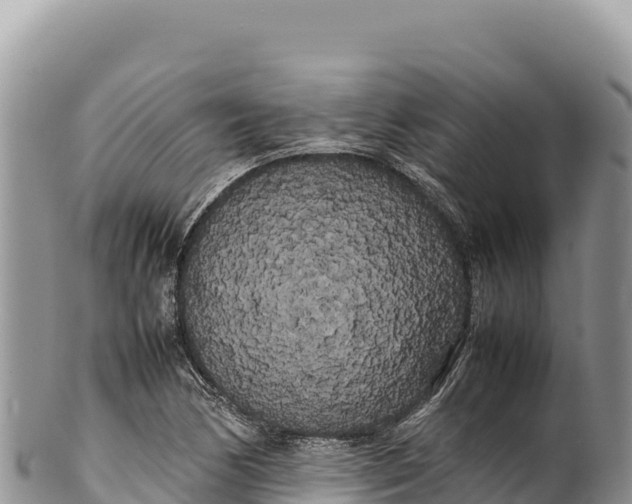 X0000100221170200806201501