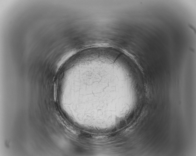 X0000100221171200806201501