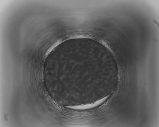 X0000100221173200806201501