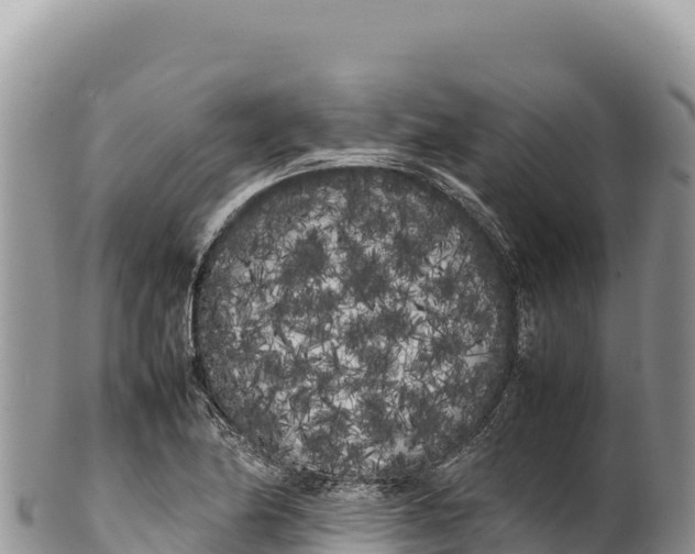 X0000100221174200806201501