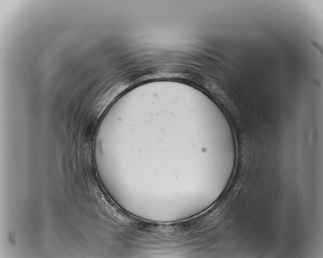 X0000100221177200806201501