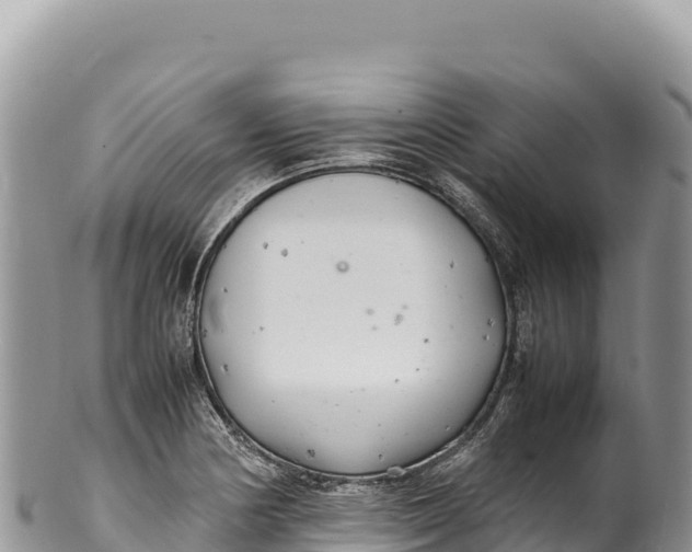 X0000100221178200806201501