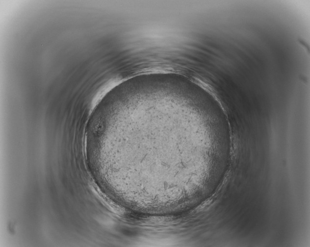 X0000100221179200806201501