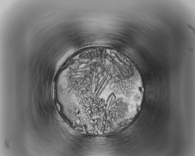 X0000100221180200806201500