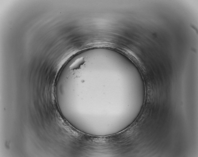 X0000100221182200806201500