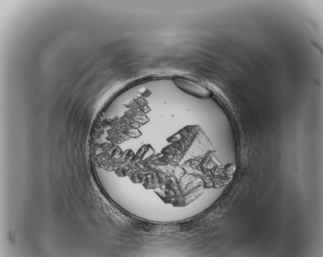 X0000100221183200806201500