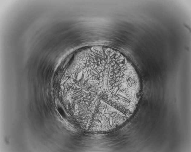 X0000100221184200806201500