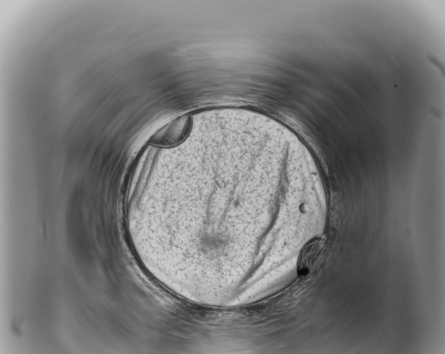 X0000100221187200806201500