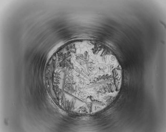 X0000100221188200806201500