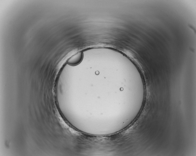 X0000100221189200806201500