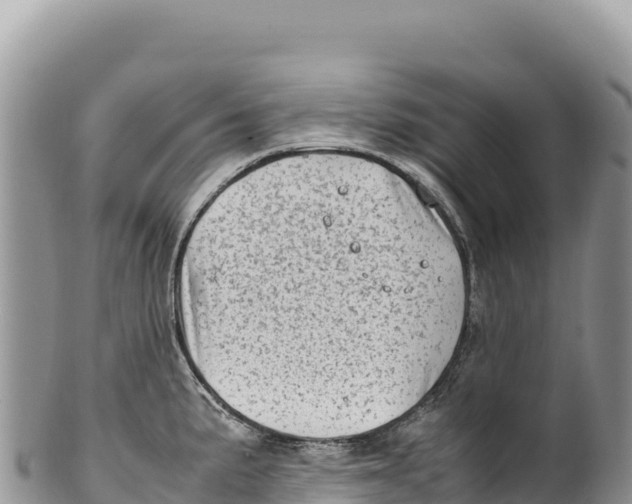 X0000100221191200806201500