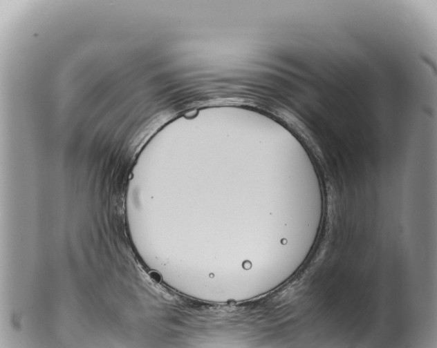 X0000100221193200806201500