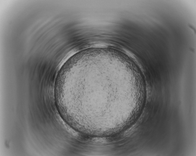 X0000100221194200806201500