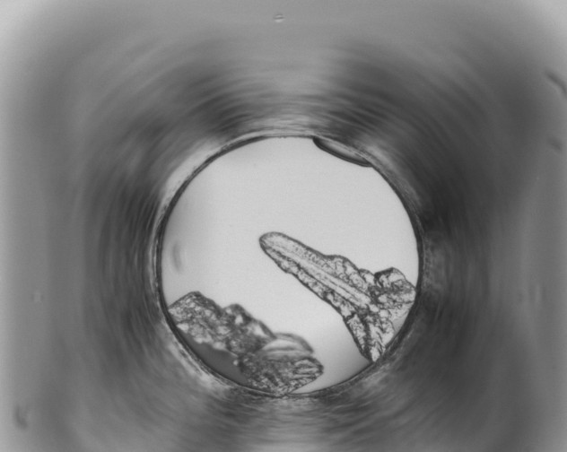 X0000100221196200806201500