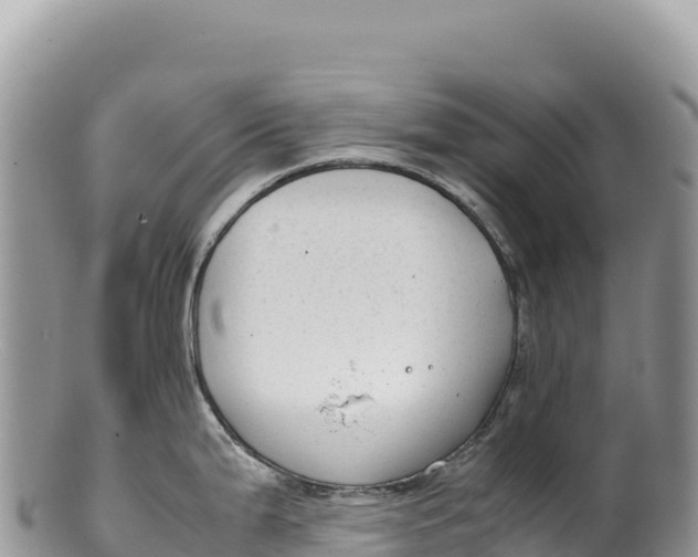 X0000100221199200806201500