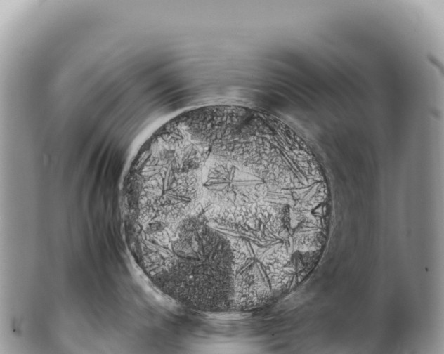 X0000100221200200806201500