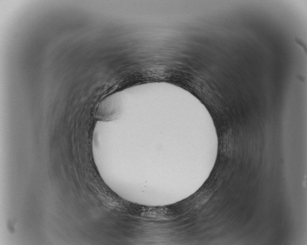 X0000100221201200806201500