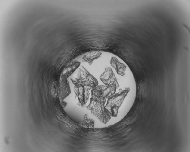 X0000100221202200806201500