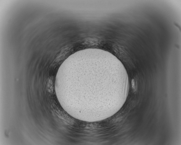 X0000100221203200806201500