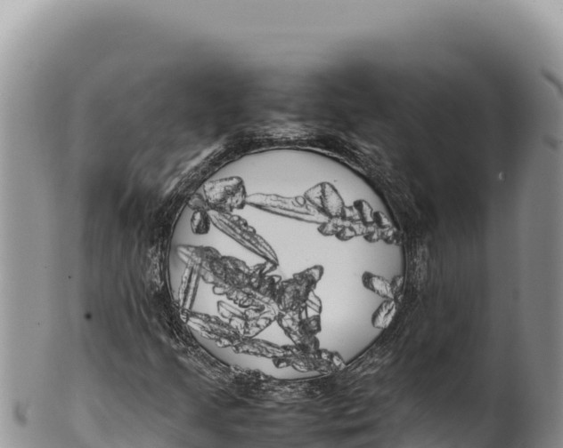 X0000100221205200806201500