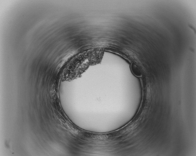 X0000100221210200806201500