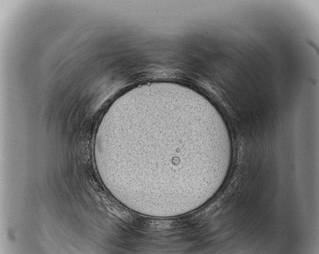 X0000100221211200806201500