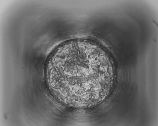 X0000100221214200806201500