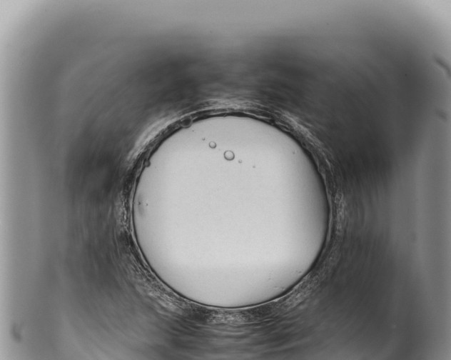 X0000100221215200806201500