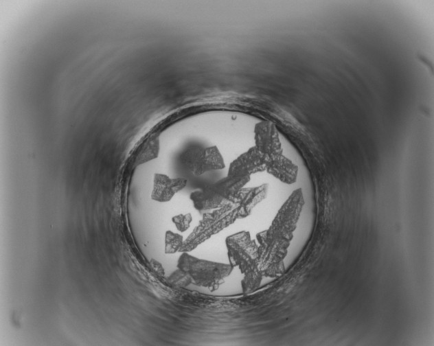 X0000100221216200806201500