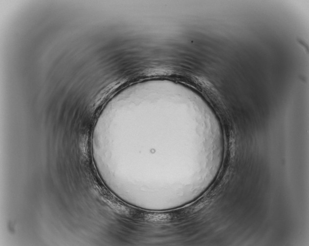 X0000100221217200806201500