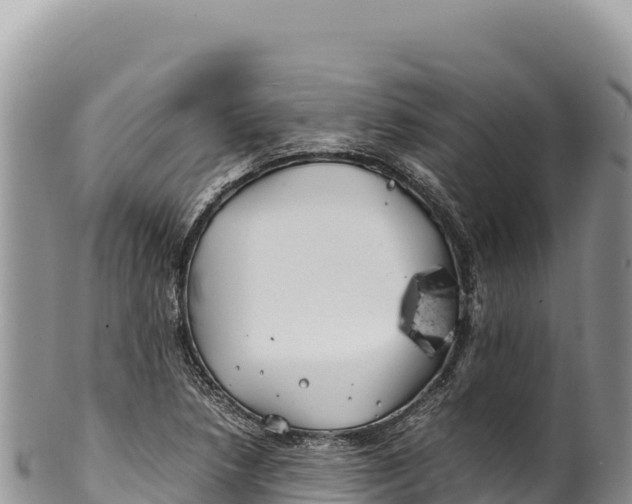 X0000100221218200806201500