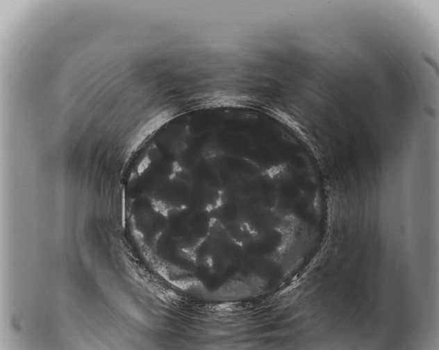 X0000100221219200806201500