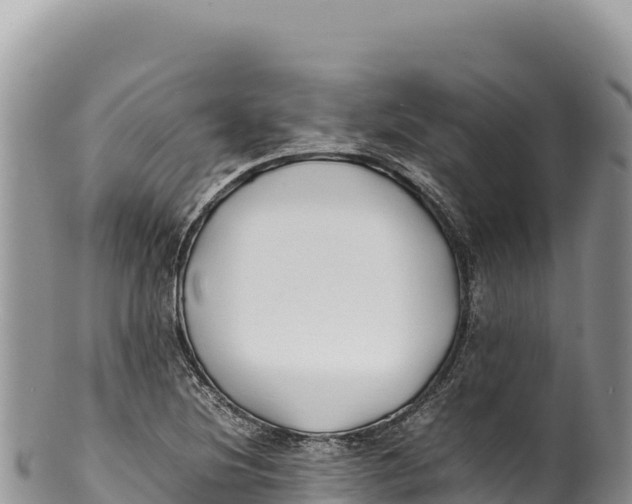 X0000100221220200806201500