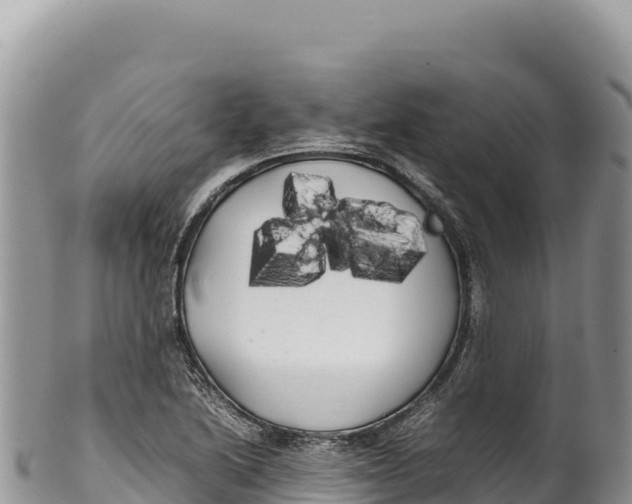 X0000100221222200806201500