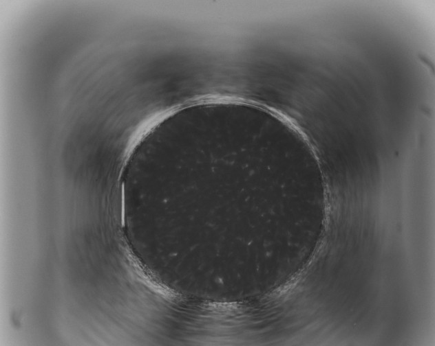 X0000100221223200806201500