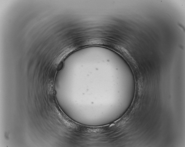 X0000100221225200806201500