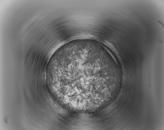 X0000100221226200806201500