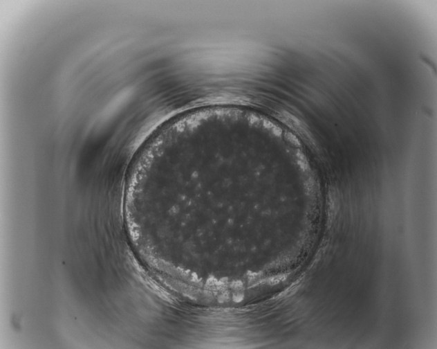 X0000100221228200806201500