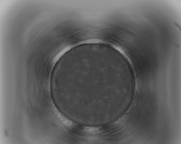 X0000100221229200806201500