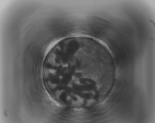 X0000100221231200806201500