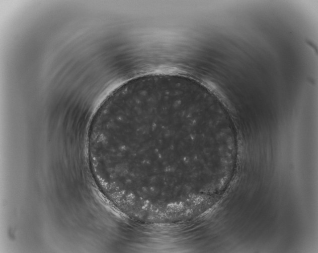 X0000100221232200806201500