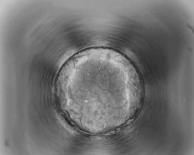 X0000100221234200806201500