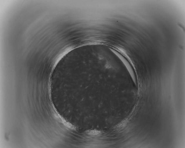 X0000100221235200806201500