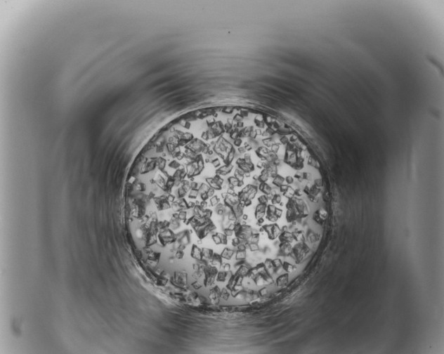 X0000100221236200806201500