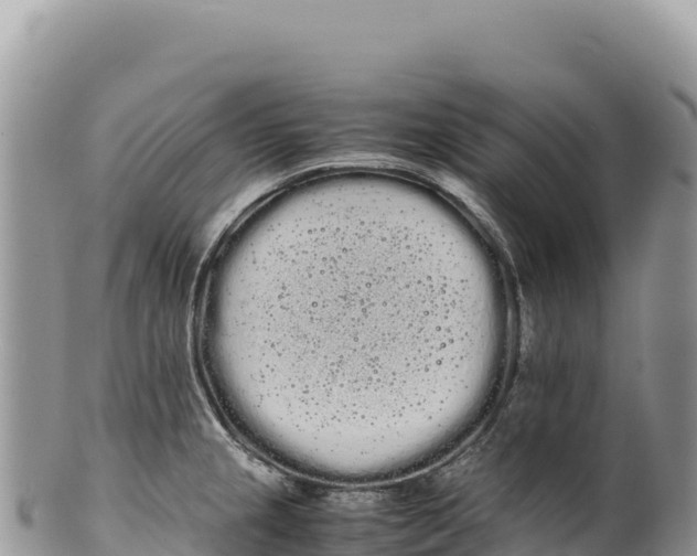 X0000100221237200806201500