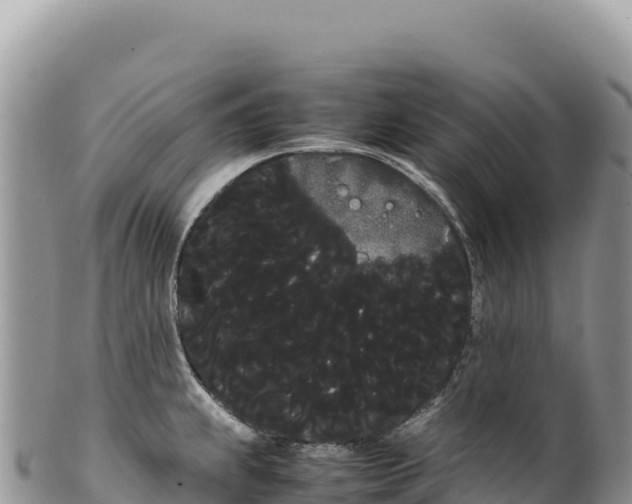 X0000100221239200806201500