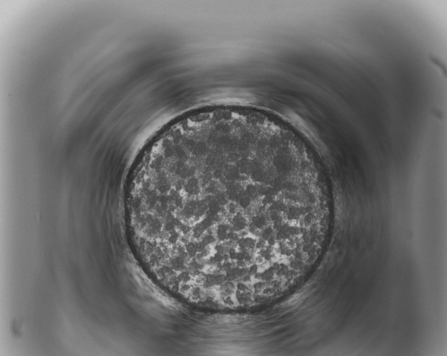 X0000100221240200806201500