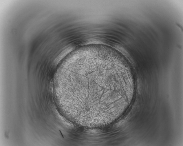 X0000100221241200806201500