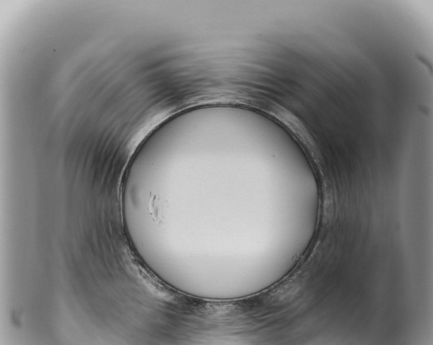 X0000100221242200806201500